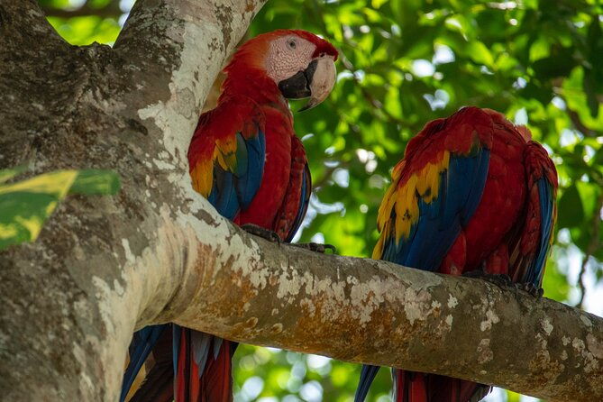 manuel-antonio-national-park-transportation