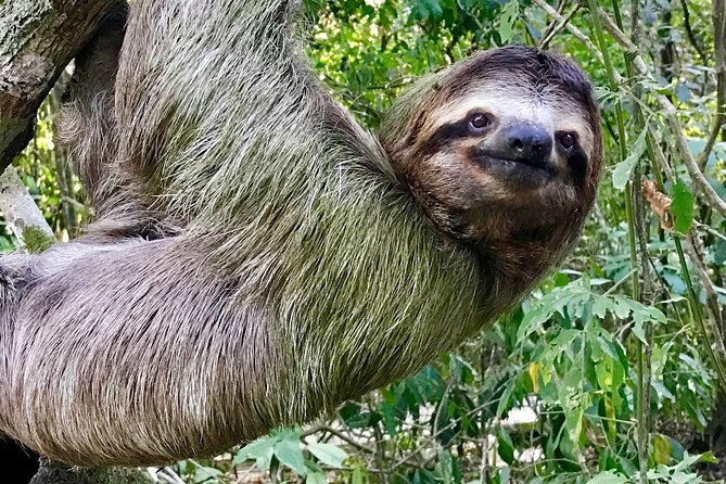 manuel-antonio-national-park-wildlife-tour