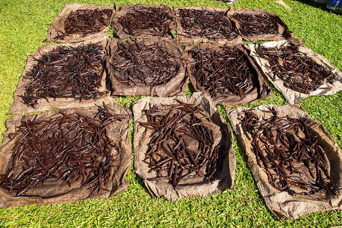 manuel-antonio-villa-vanilla-spice-tour