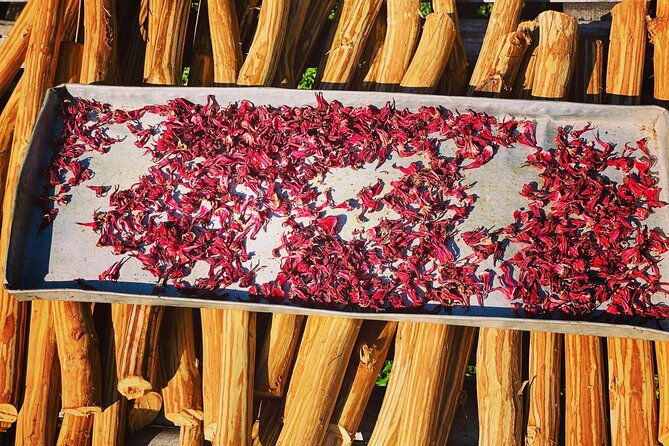 manuel-antonio-villa-vanilla-spice-tour