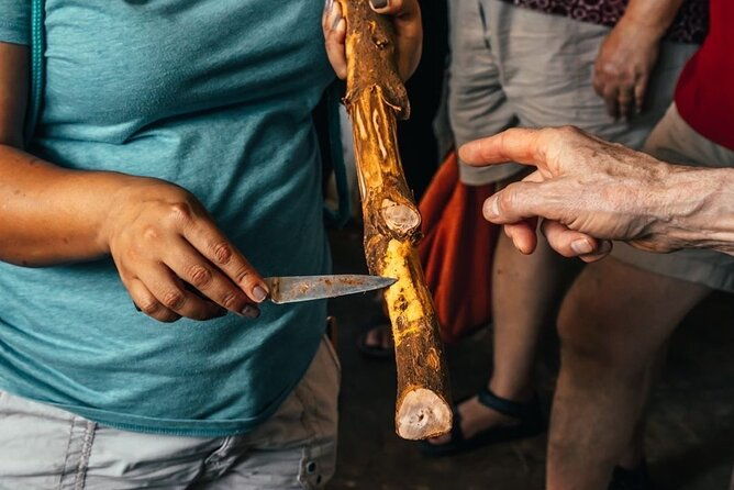 manuel-antonio-villa-vanilla-spice-tour