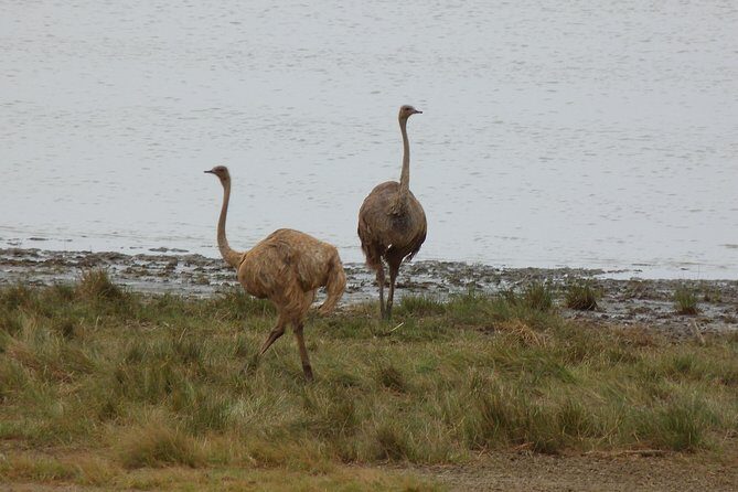 Manyara and Ngorongoro Crater - Authentic Experiences and Practical Tips