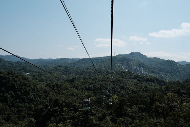 Maokong Gondola and Camphor Trail - An In-Depth Look at the Tour Itinerary