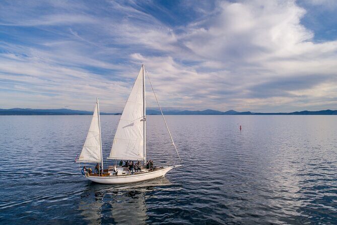 Maori Rock Carvings Eco Sailing Taupo - Experience Overview: What to Expect on Your Lake Taupo Adventure