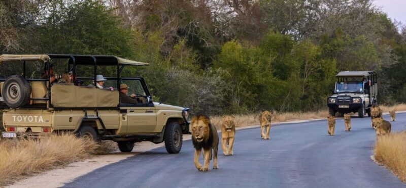 Maputo Reserve National Park: Epic One-Day Safari - Practicalities and What to Know Before You Go