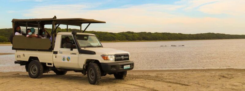 Maputo Reserve National Park: Epic One-Day Safari - Who Is This Tour Perfect For?