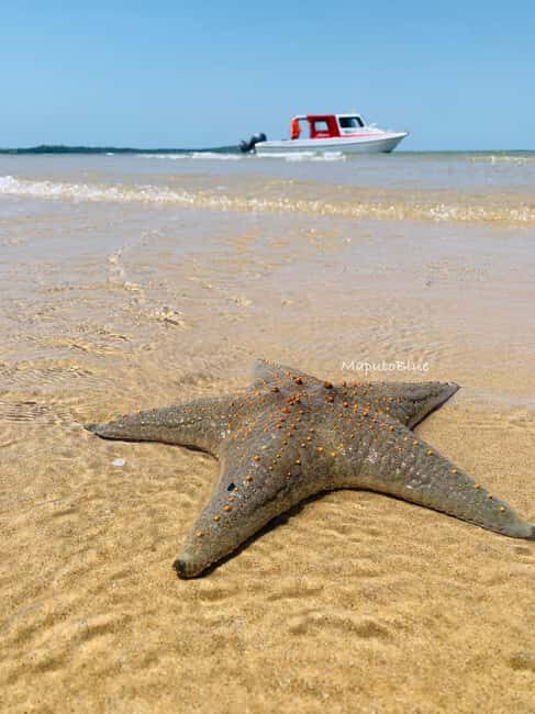Maputo: Santa Maria, Inhaca & Portuguese Island daytrip - Practical Aspects: What To Know Before Booking