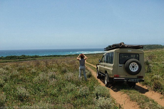 Maputo Special Reserve - 1 Day - Maputo Special Reserve - 1 Day Review: Exploring Mozambique’s Hidden Natural Gem