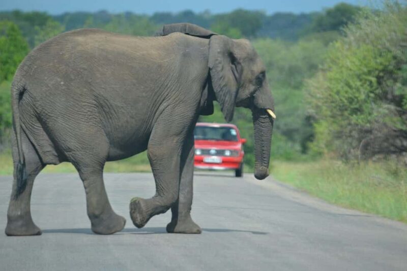 Maputo Special Reserve 3-Day Trip - Key Points