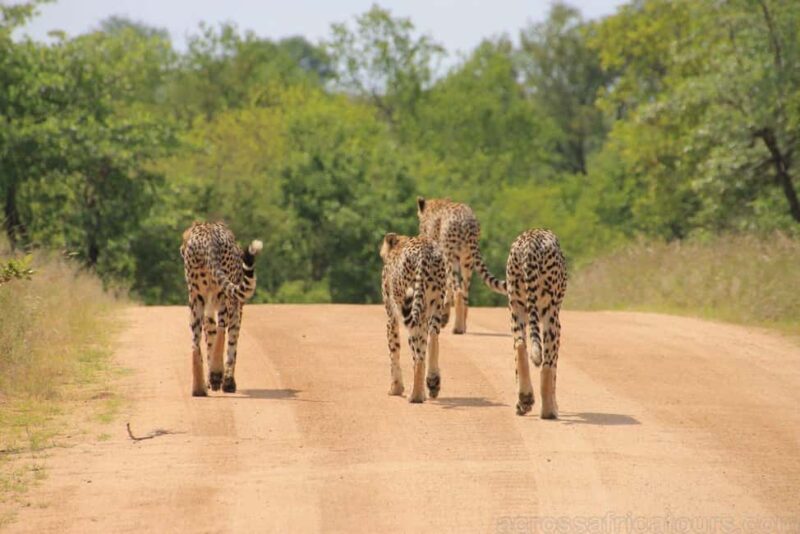 Maputo Special Reserve 3-Day Trip - Considerations and Practical Tips