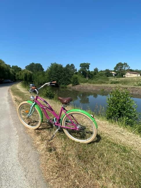 Marais Poitevin: Bike trip in the Green Venice - Key Points