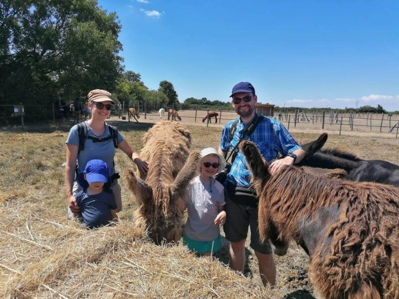 marais-poitevin-discovery-day-in-the-footsteps-of-the-baudet