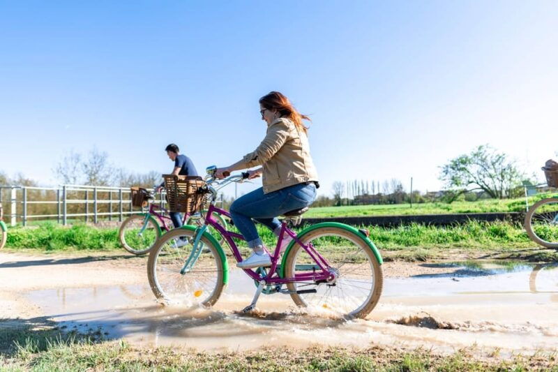 marais-poitevin-discovery-day-in-the-footsteps-of-the-monk-builders
