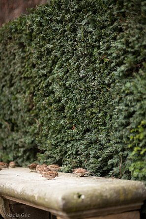 marais-semi-private-walking-tour