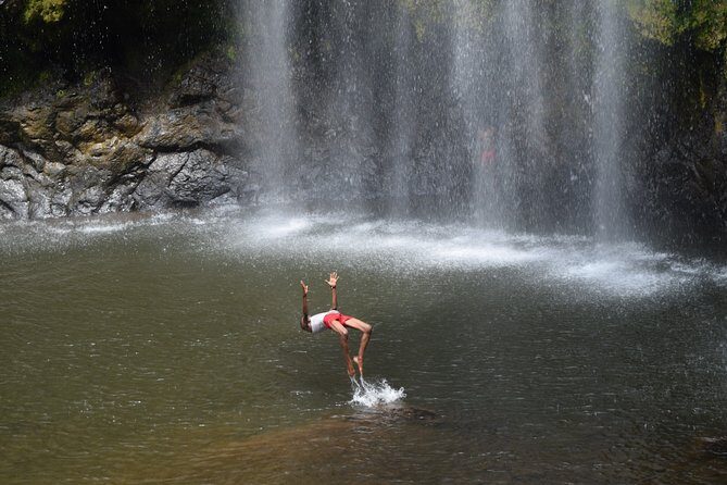 Marangu waterfall & Coffee making Cultural Tour | BURIGI CHATO SAFARIS CO LTD - Who Would Love This Tour?