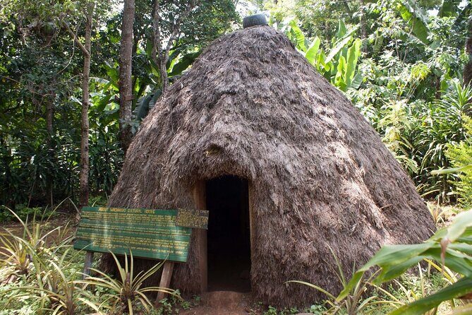 Marangu waterfall & Coffee making Cultural Tour | BURIGI CHATO SAFARIS CO LTD - Final Thoughts