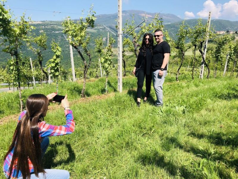 marano-di-valpolicella-dop-olive-oil-tasting-experience