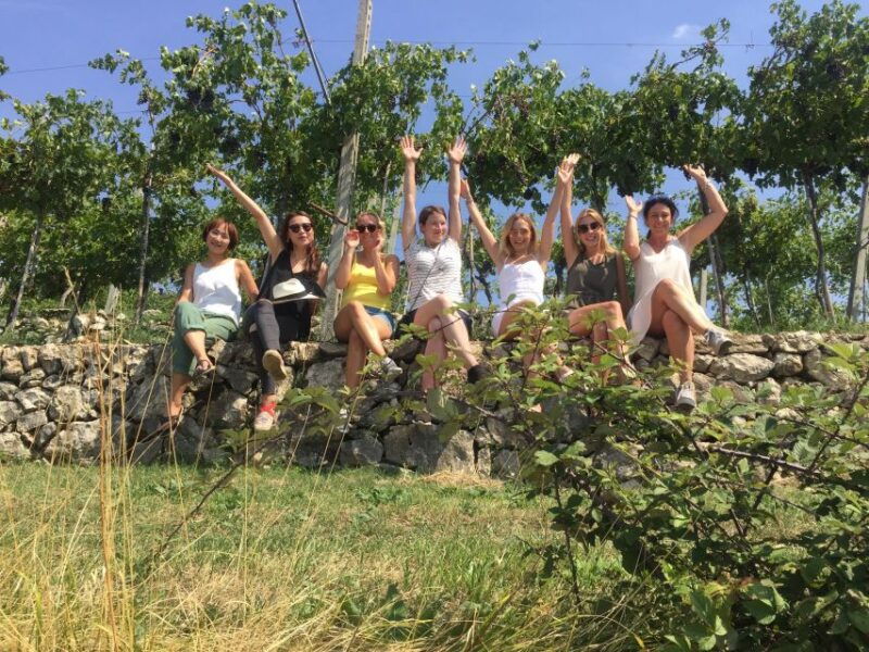 marano-di-valpolicella-dop-olive-oil-tasting-experience