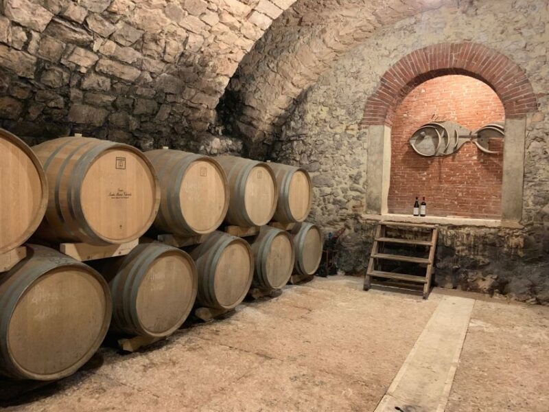 marano-di-valpolicella-dop-olive-oil-tasting-experience