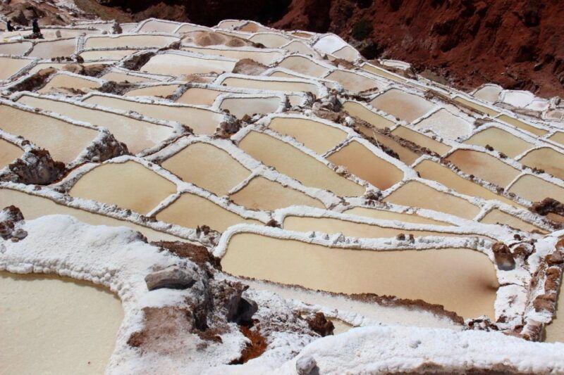 maras-moray-cusco-peru-half-day-tour-picnic-with-llamas