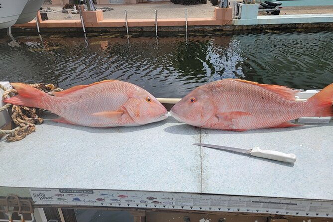 marathon-florida-keys-fishing-experience-2