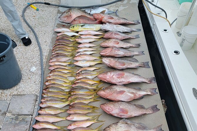 marathon-florida-keys-fishing-experience-2