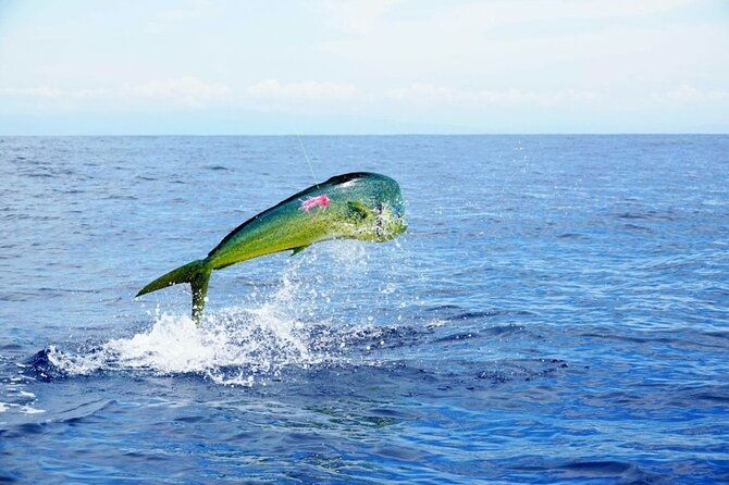 marathon-florida-keys-fishing-experience-big-game