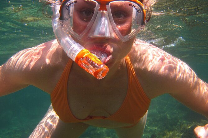 marathon-key-3-hour-snorkeling-adventure-on-a-pontoon-at-sombrero-reef-2