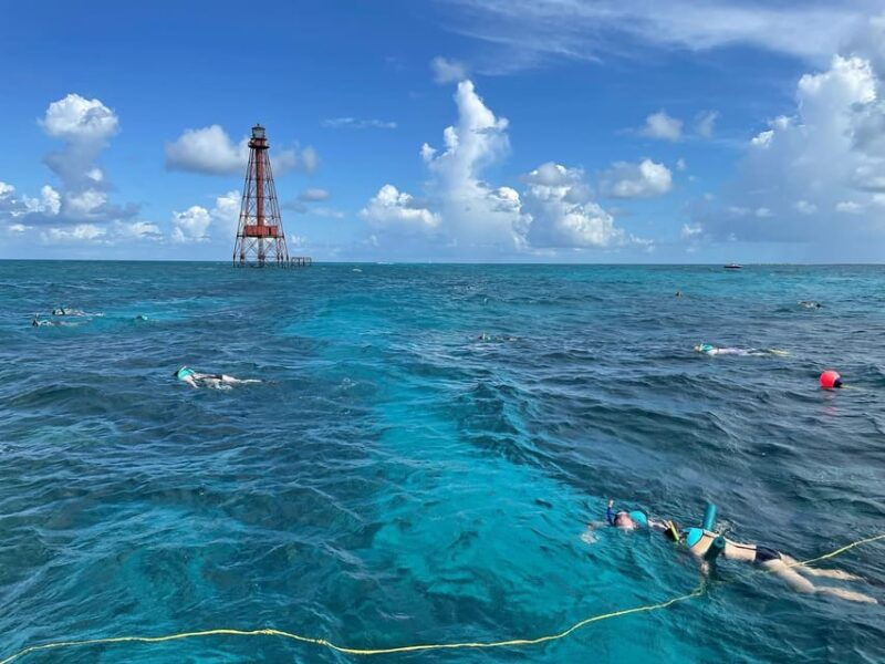 marathon-snorkeling-adventure-by-boat-at-sombrero-reef