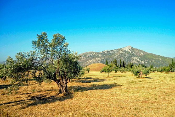 marathon-thermopylae-thebes-plataea-herodotus-private-tour-10h