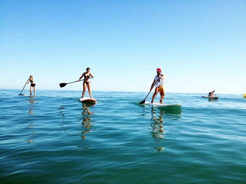 Marbella Bay Stand Up Paddleboarding Tour - The Experience in Action: What Visitors Say