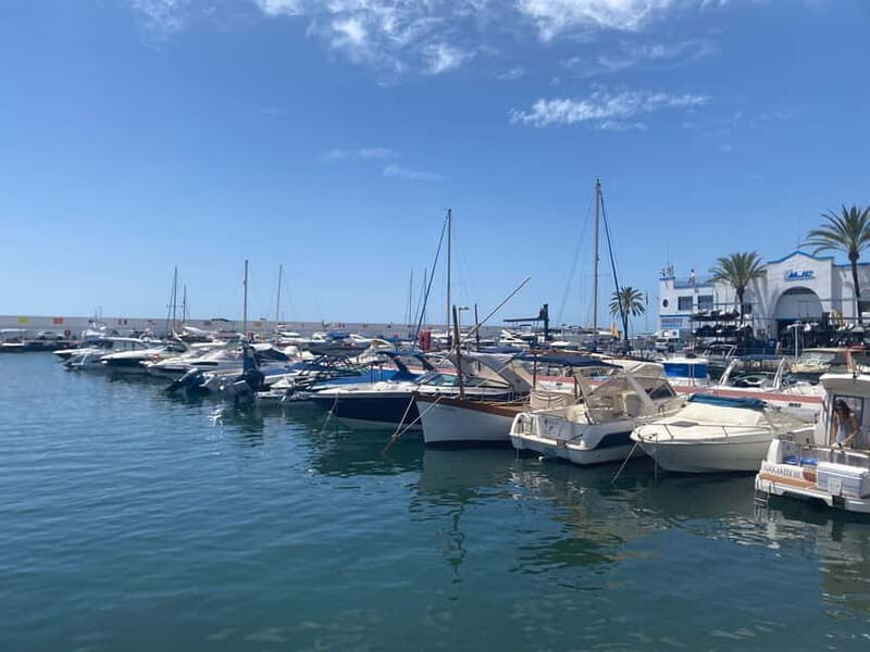 Marbella: City tour of Marbella City / Old Town incl. breakfast Stop - Marbella: City tour of Marbella City / Old Town incl. breakfast Stop