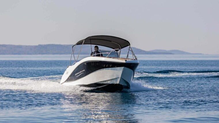 marbella-dolphin-watching-boat-tour