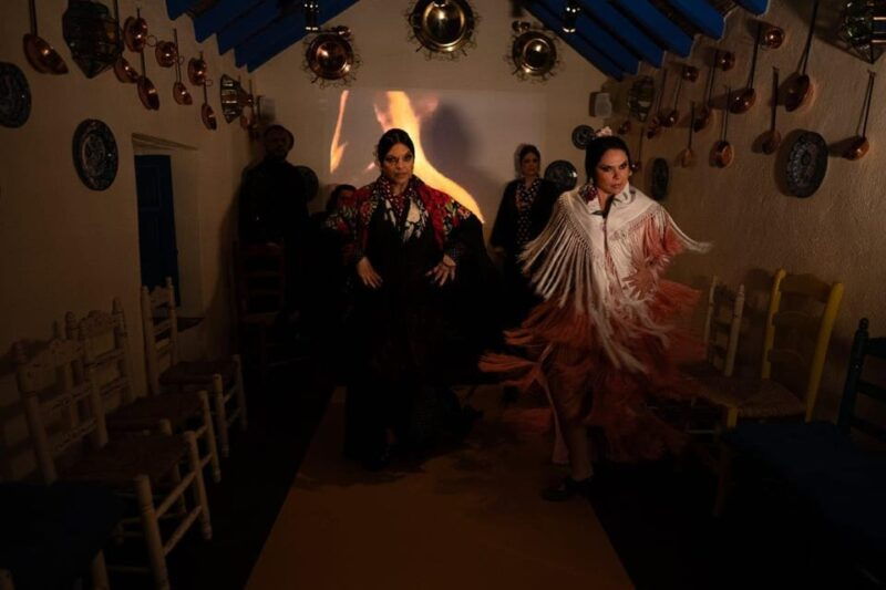marbella-flamenco-show-with-a-drink