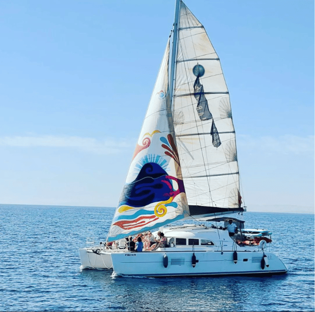 marbella-group-dolphin-watching-catamaran-tour-with-drinks