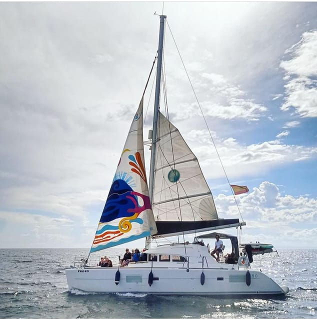 marbella-group-dolphin-watching-catamaran-tour-with-drinks