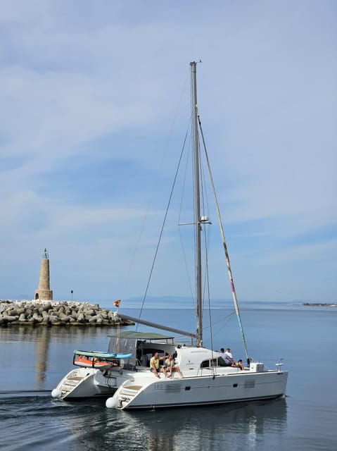 marbella-group-dolphin-watching-catamaran-tour-with-drinks