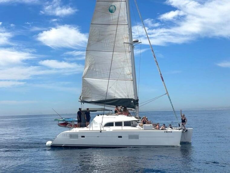 marbella-group-dolphin-watching-catamaran-tour-with-drinks