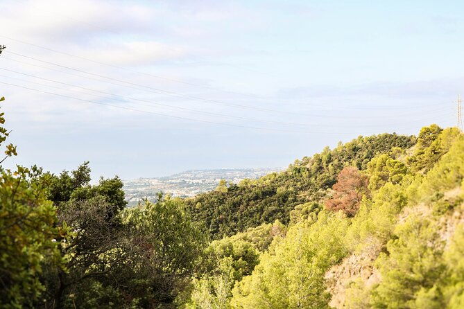 marbella-guided-hiking-and-foraging-adventure-2