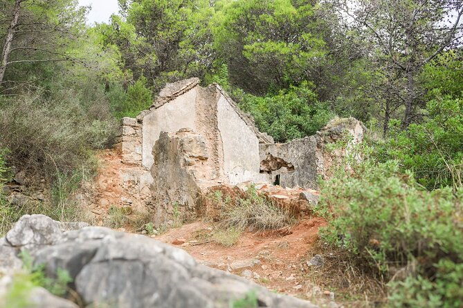marbella-guided-hiking-and-foraging-adventure-2