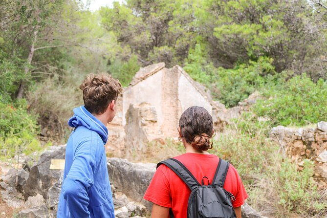 marbella-guided-hiking-and-foraging-adventure