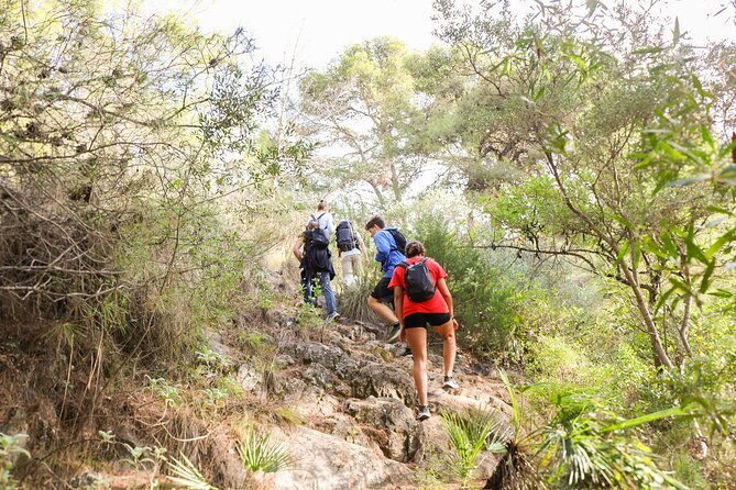 marbella-guided-hiking-and-foraging-adventure