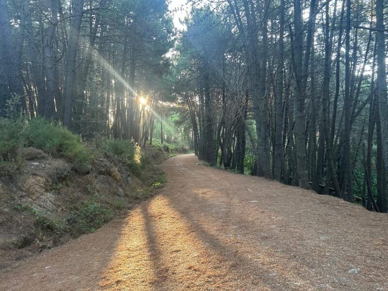 marbella-la-concha-mountain-tour-including-snack-and-drink