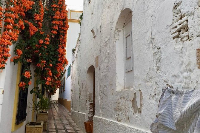 marbella-old-town-group-tour-with-a-true-local
