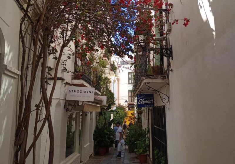 Marbella: Private Tour of the Historic Center - Key Points