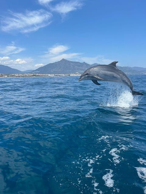 marbella-sailing-dolphin-watching-with-snacks-and-drinks