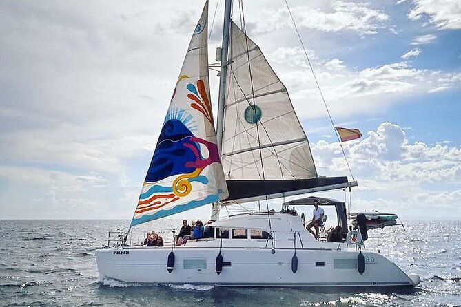 marbella-small-group-catamaran-with-dolphin-watching-2