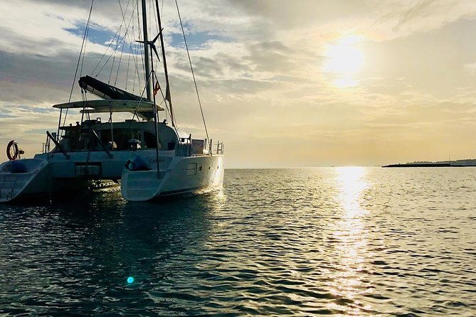 marbella-small-group-catamaran-with-dolphin-watching-2