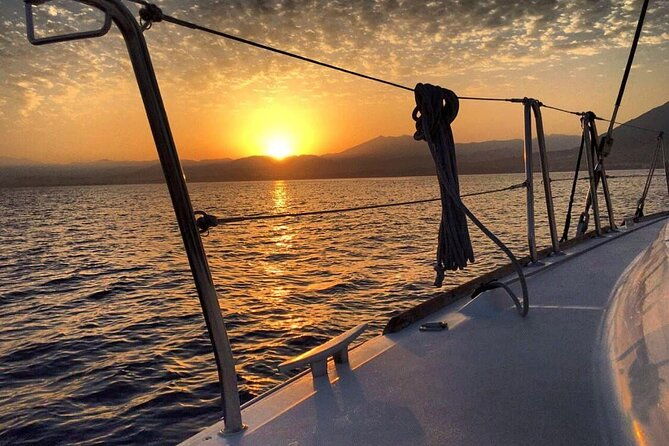 marbella-small-group-catamaran-with-dolphin-watching-2