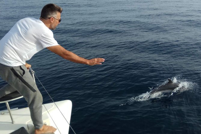 marbella-small-group-catamaran-with-dolphin-watching